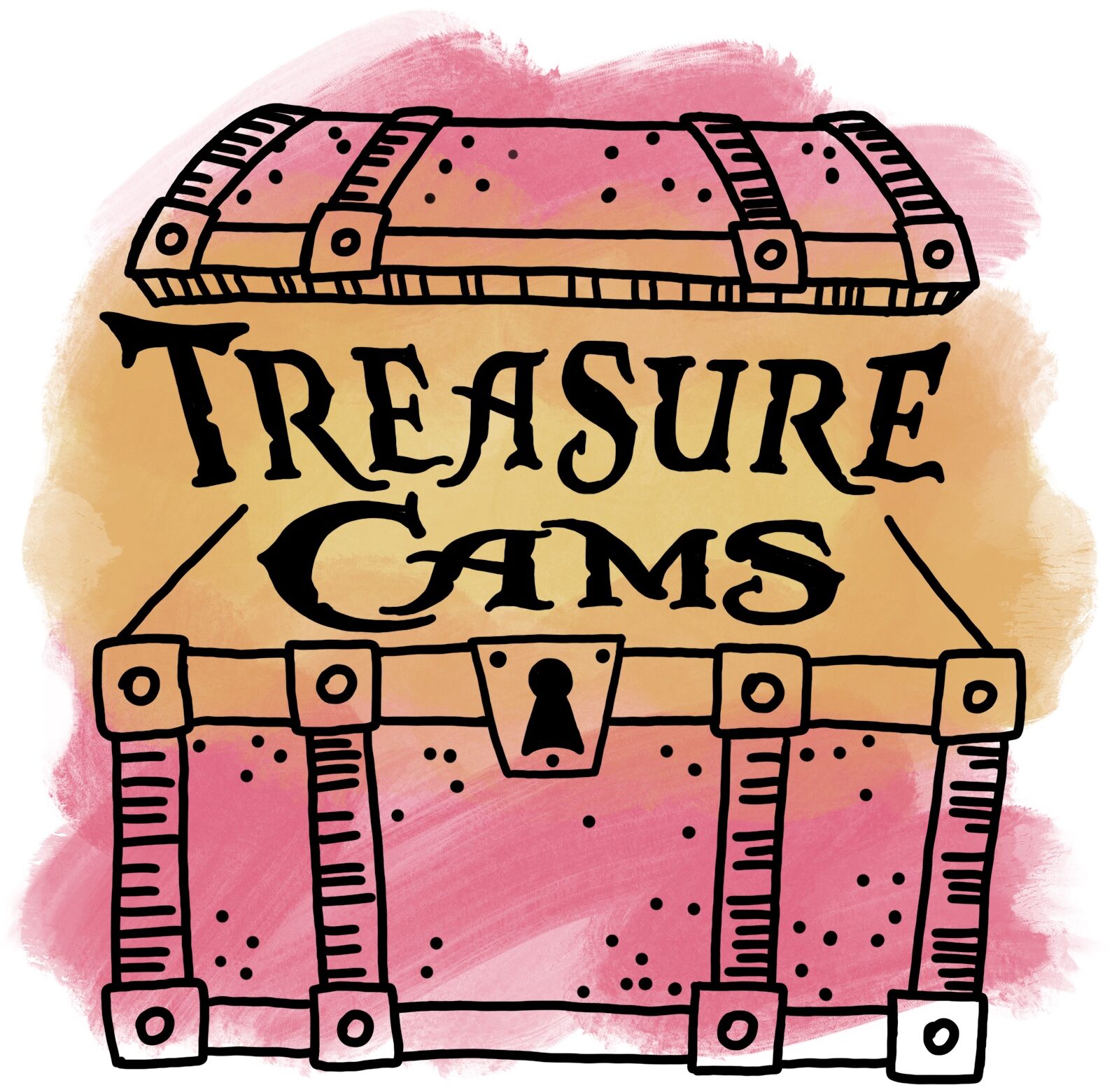 treasurecams