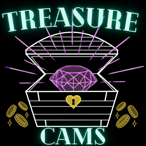 treasurecams